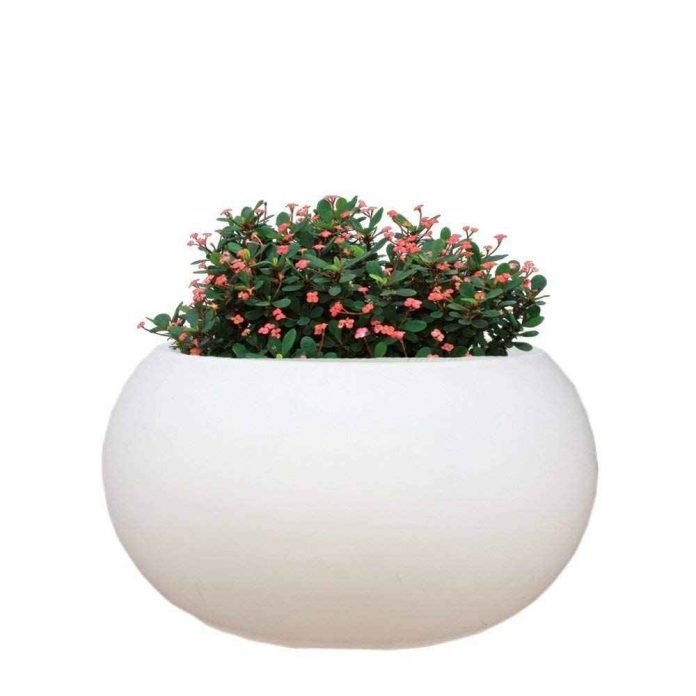 ARE YOU READY TO DECORATE YOUR HOME WITH HYBRID POLYMER PLANTERS?