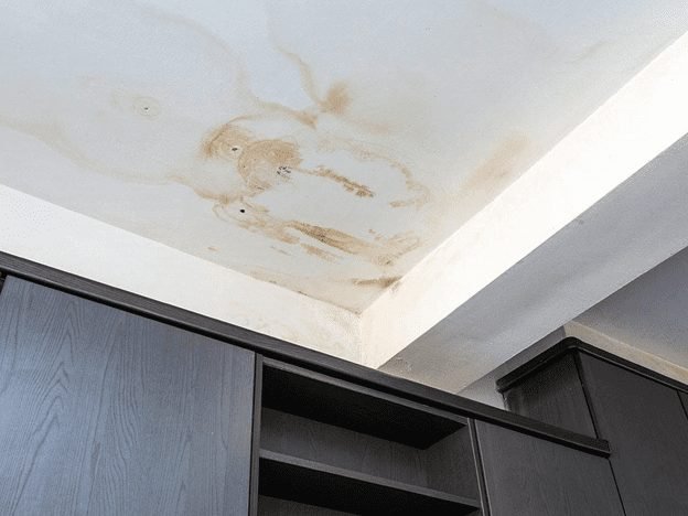 Tips to Prevent Mold from Your Home in Summer