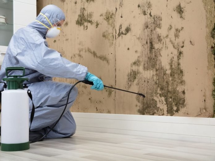Prevent mold in your home