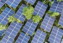 Solar Technology 101: Everything You Need To Know