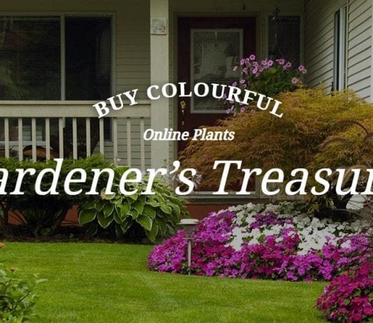 4 things to know before buying up plants from an online nursery Online nursery