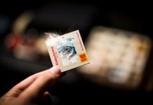 Preserving Precious Memories: How to Convert Kodachrome Slides Preserving Precious Memories: How to Convert Kodachrome Slides