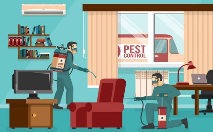 How To Gather Online Momentum for Your Pest Control Company - The World of Digital Ads!