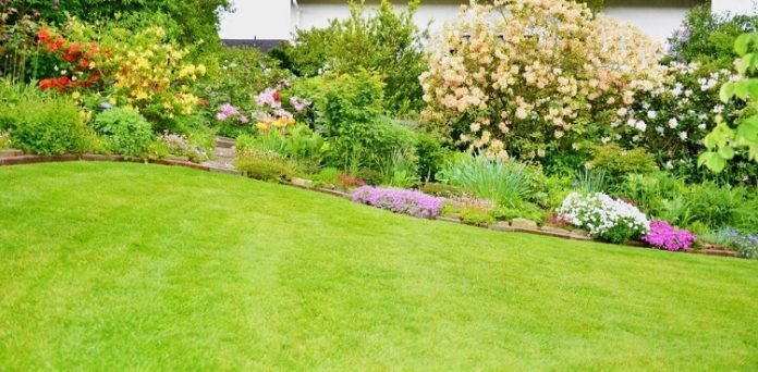 Keeping the Lush Green: A Guide to Residential Landscape Maintenance