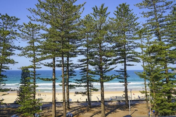 Have You Been to These Stunning Destinations in NSW, Australia?