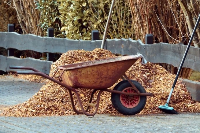 What To Know When Hiring a Mulching Service: A Guide
