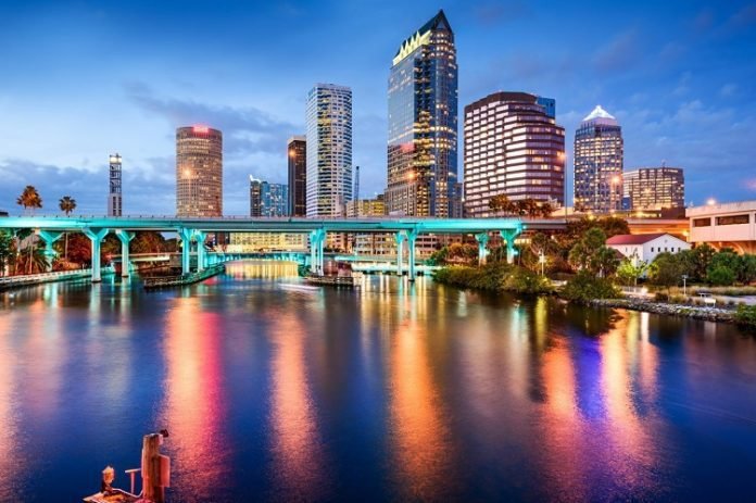 Top 4 Things to Do in the Tampa Bay Area as a Local or a Visitor