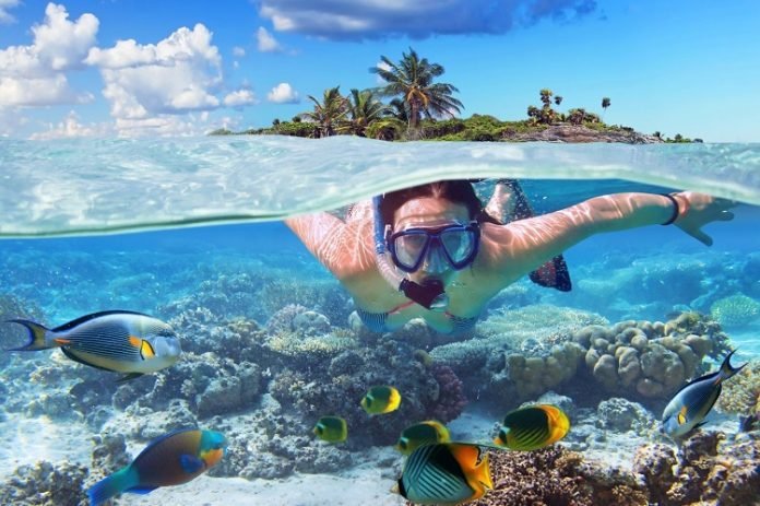 7 Fun Things to Do in Key West in 2022