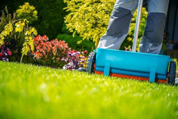 How To Hire Yard Fertilization Services: A Guide
