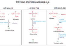 How to Remove Hydrogen Sulfide From Natural Gas Hydrogen Sulfide