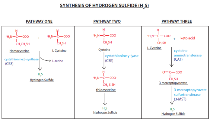 Hydrogen Sulfide