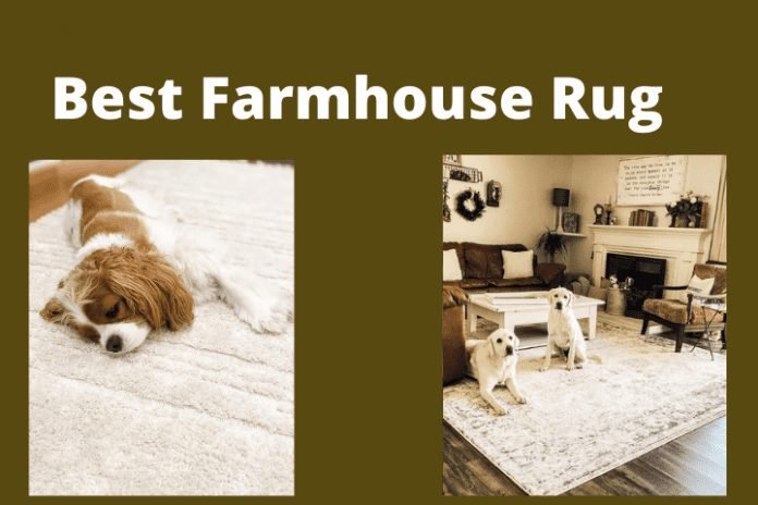 What are the BEST Pet-friendly Rugs?