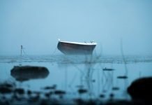 6 Common Boat Buying Mistakes and How to Avoid Them The Most Common Causes of Florida Boating Accidents