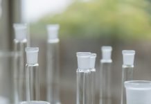 How To Ace Your Class 12 Home Science Exam? Class 12 Home Science