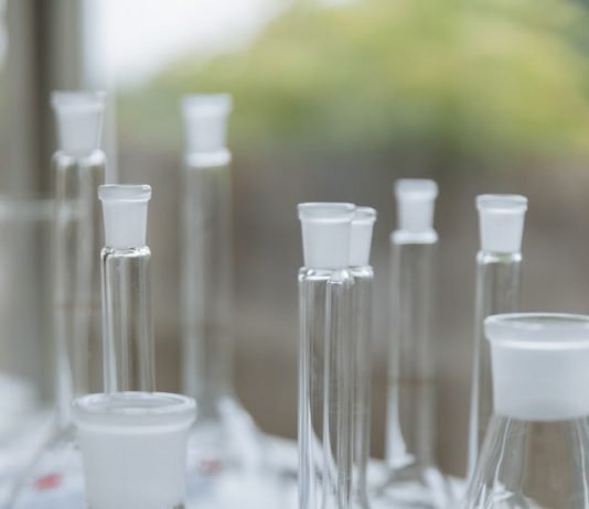 How To Ace Your Class 12 Home Science Exam? Class 12 Home Science