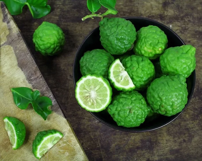 Kaffir Lime