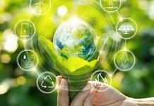 What is sustainability management? What is sustainability management?