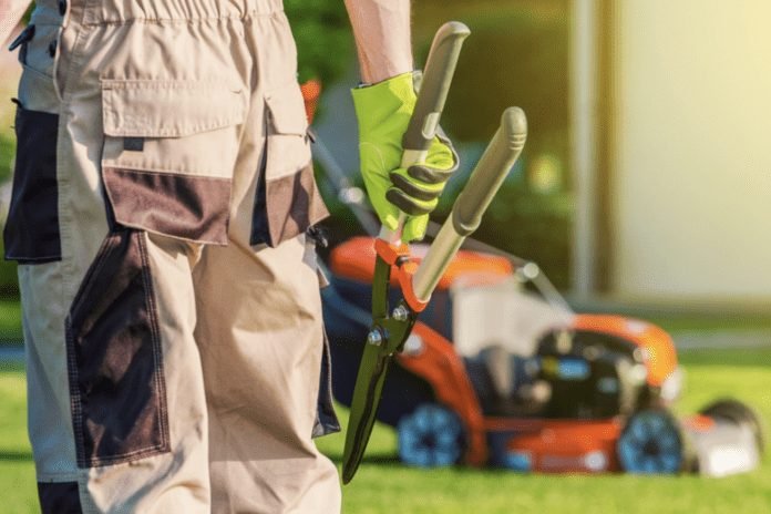 5 Worthy Qualities of a Reputable Landscaping Company