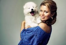 Tips For Keeping Your Dog Healthy This Season Keeping Your Dog