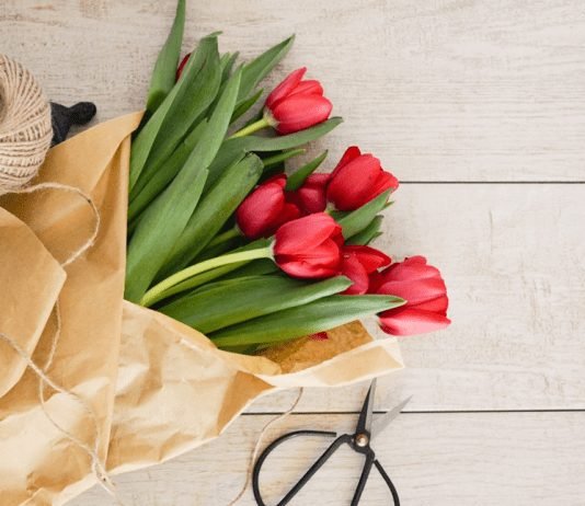 Tips for Choosing a Fresh Flower Delivery Company Tips for Choosing a Fresh Flower Delivery Company