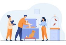 Planning to adopt a dog Planning to adopt a dog