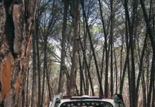 How to Accomplish Your Travel Goals Accomplish