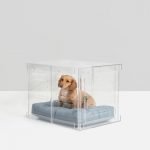 Acrylic Beds for Dogs