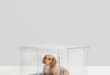 Repurposing Modern Acrylic Beds for Dogs Acrylic Beds for Dogs