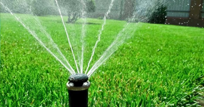 How to Irrigate Lawns to Save Water and Be Effective?