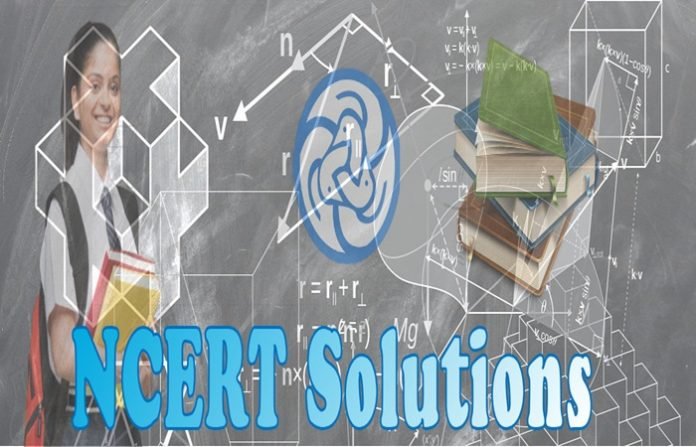 The option of referring NCERT solutions for class 6th
