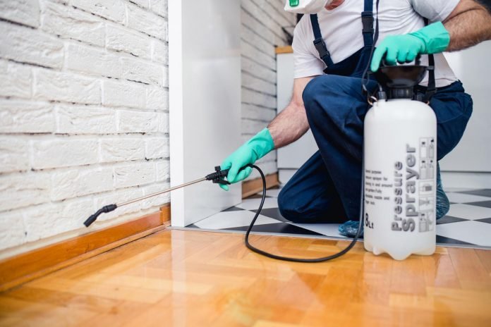 Tips For Homeowners to Keep Their Apartments Pest Free