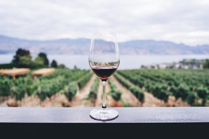 How To Plan For a Wine Tour in Adelaide?