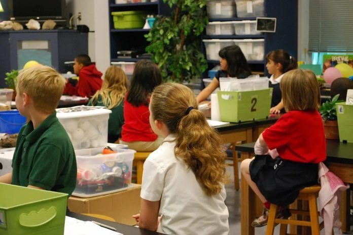 Ways to organize the classroom trips in school for learning needs?