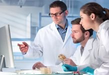 The Importance of Medical Transcription Services in Healthcare The Importance of Medical Transcription Services in Healthcare