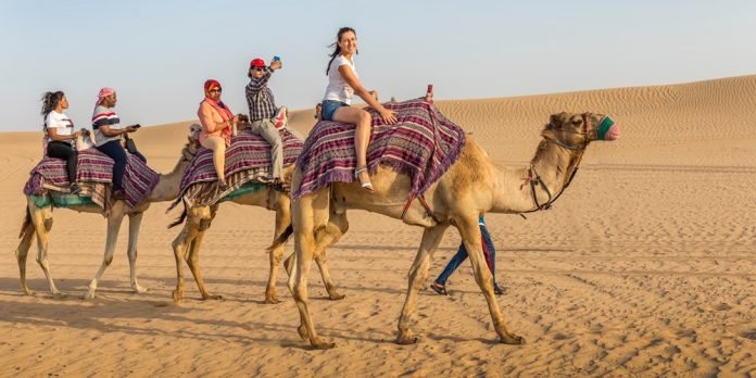 Complete Guide to Camel Ride Dubai