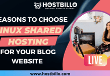 Reasons to Choose Linux Shared Hosting for Your Blog Website Reasons to Choose Linux Shared Hosting for Your Blog Website