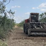 Everything You Need To Know About Forestry Mulching