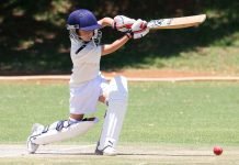 Tips to Choose the Right Clothes For Cricket Tips to Choose the Right Clothes For Cricket