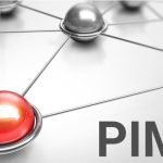 PIM software