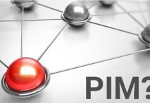 Do you really need PIM software? PIM software