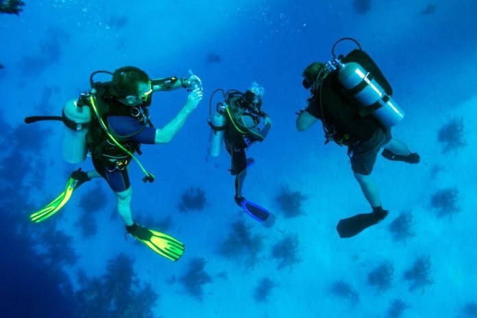 Underwater photography course