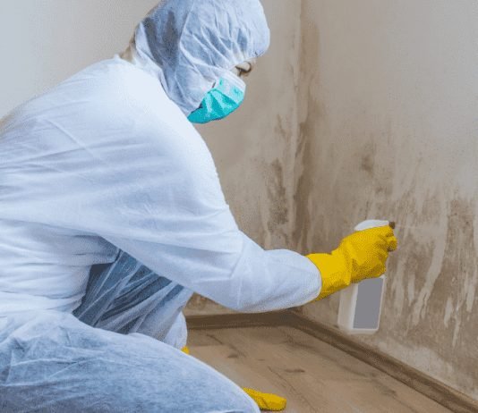 How Mold Illness Affects The Body Mold Illness