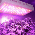 Commercial LED Grow lights