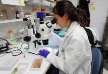 What subjects are covered in the basic science veterinary program? science veterinary