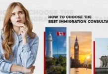 Achieve your Career Goals and Find your Dream Job – Top Immigration Consultants in India Immigration Consultants