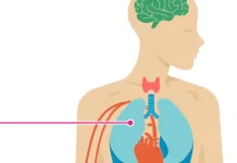 Understanding Pneumonia:Treatment Options And Prevention Tips Pneumonia