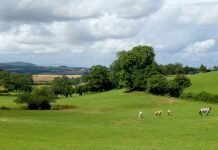 The Wye Valley area of Herefordshire. Herefordshire