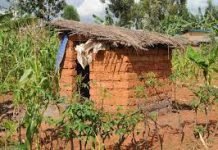 The Essential Guide to Starting a Household Household