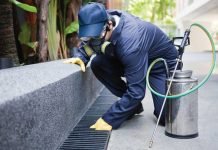 How to Choose a Green Pest Service Provider Green Pest Service