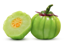 Garcinia Cambogia: A Good Fat Burner? Garcinia Cambogia